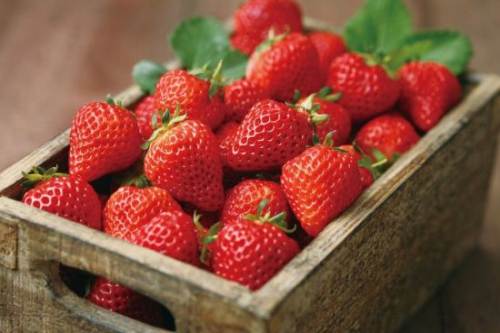 春季养生吃草莓的功效