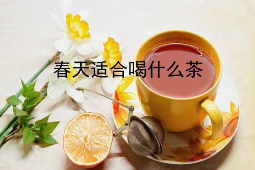 春天适合喝什么茶呢？推荐几款春季养生茶