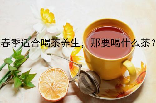 春季适合喝茶养生，那要喝什么茶？