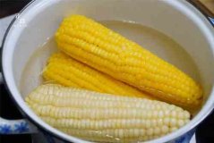 冷水下锅的玉米煮多久